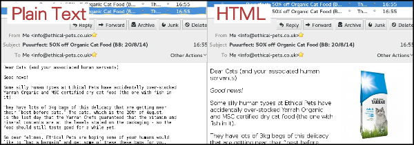 plain text v html